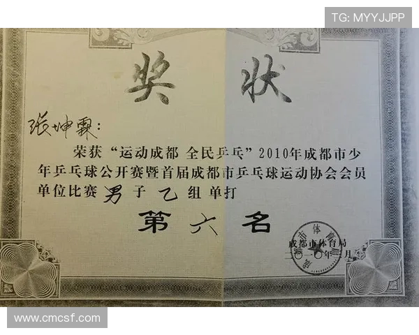 成都乒乓球队防反策略分析与比赛表现的得失总结